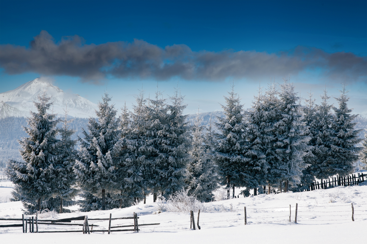 Kneipp im Winter - Ruhe